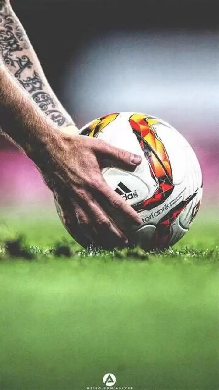 调节是赛场 调节是赛场